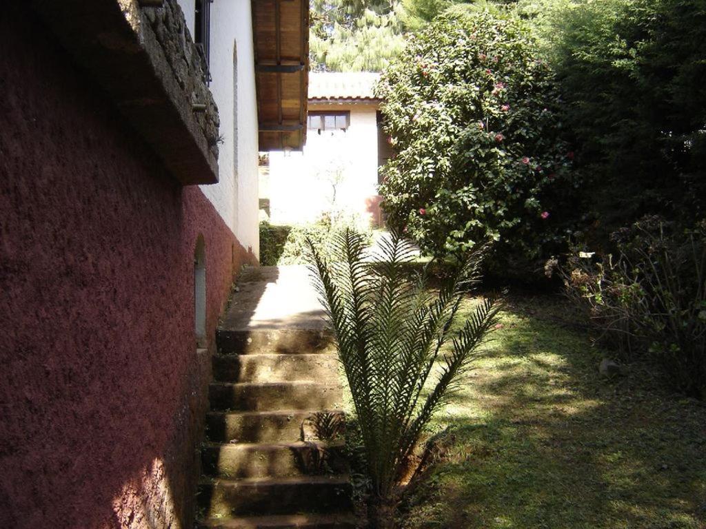 Casa das dálias Monte Verde  Exterior foto